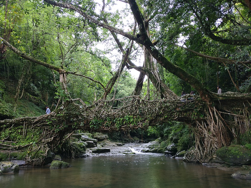 MAWLYNNONG, MEGHALAYA