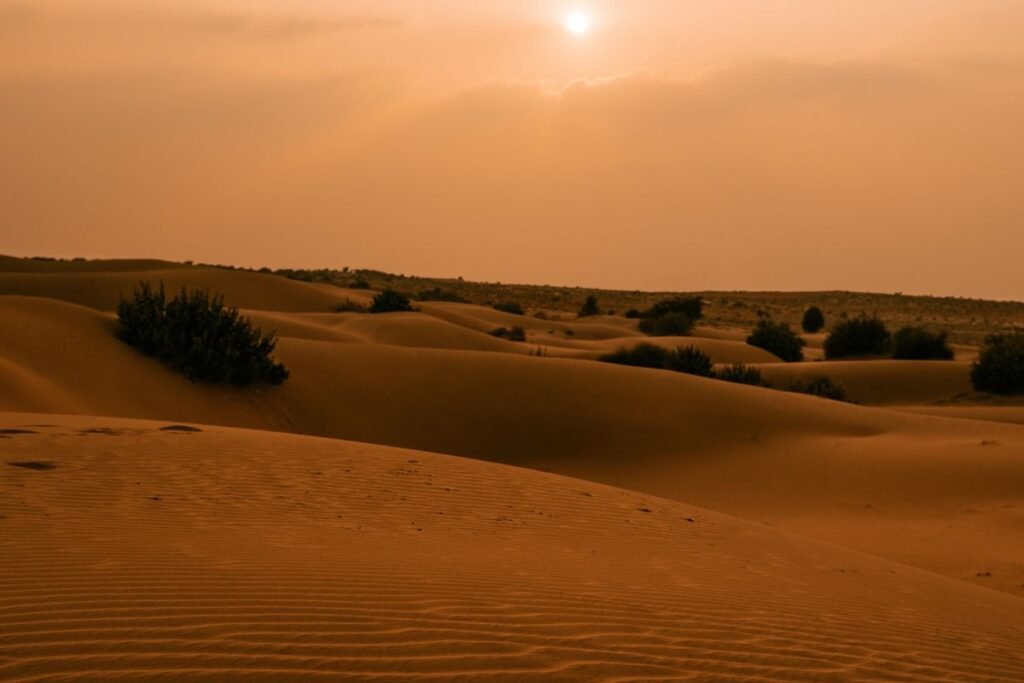 Sunset in Thar Desert