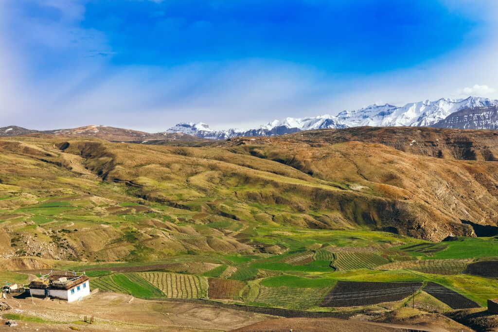 THACHI VALLEY, HIMACHAL PRADESH