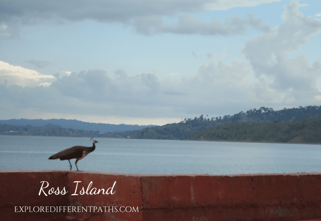 Exploring Ross Island