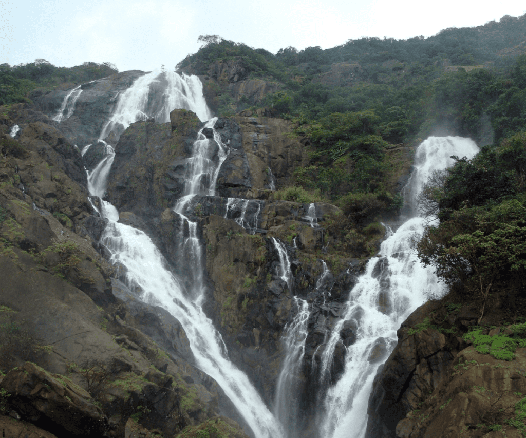 Admiring the beauty of Dudhsagar Falls