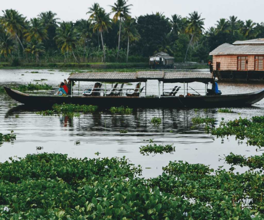 Shikara Boat Ride in Alleppey