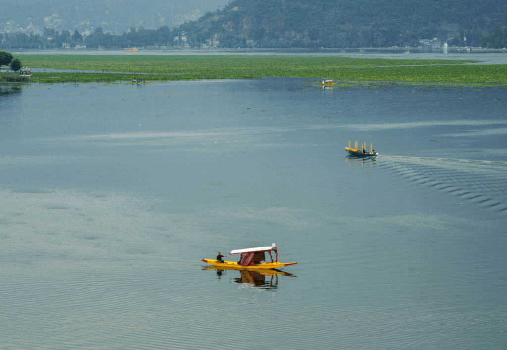 Dal Lake, Kashmir