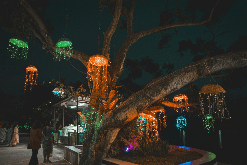 DIU - Christmas Celebration