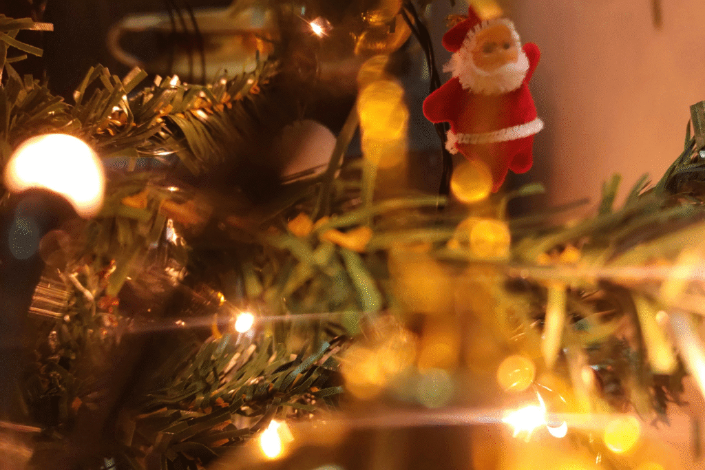 BENGALURU - Christmas Celebration