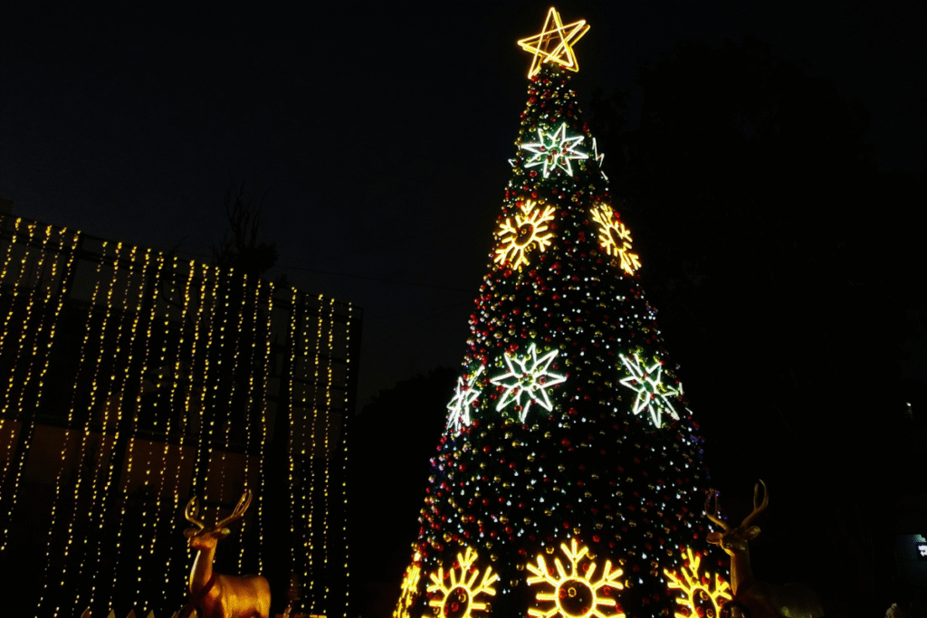 SHILLONG - Christmas Celebration