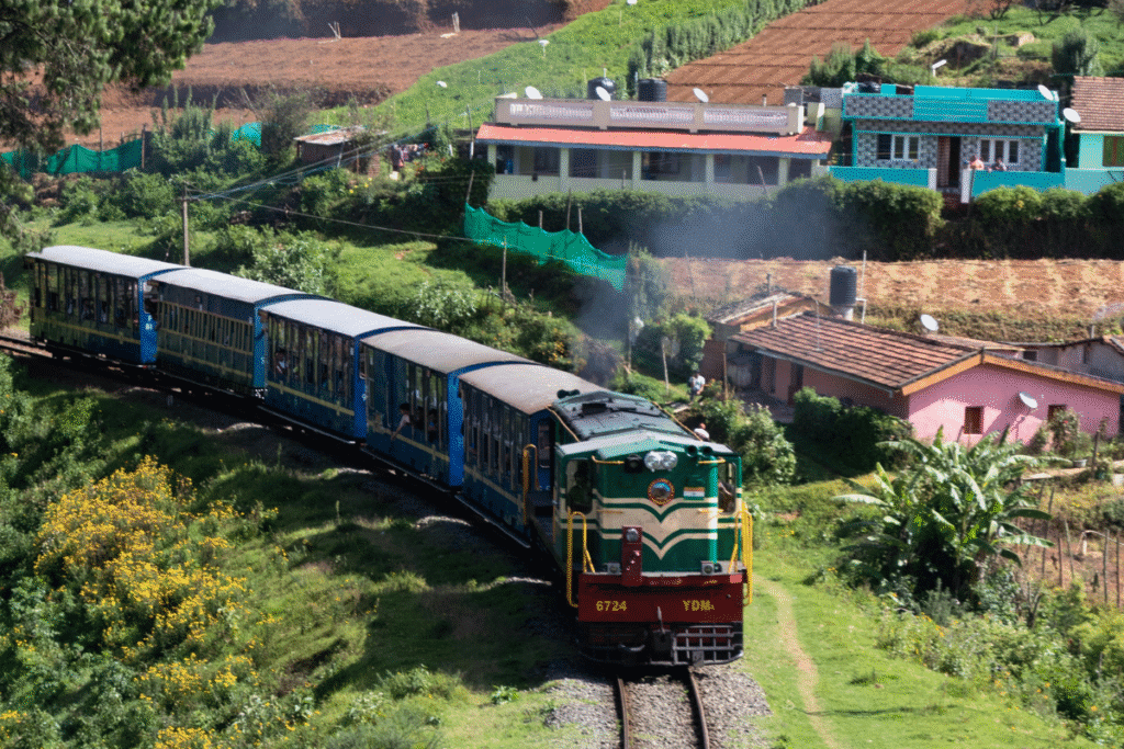 OOTY - Christmas Celebrations